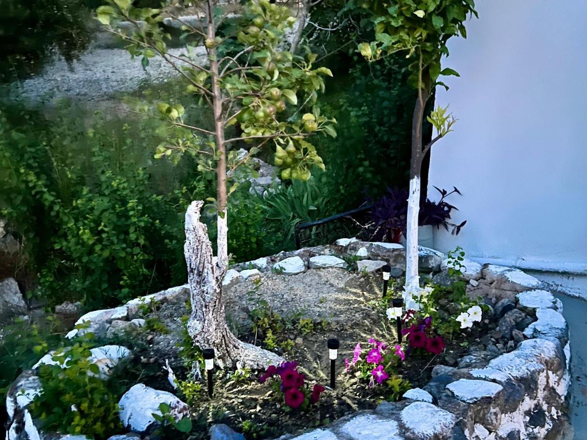 Greek House Tatiana Vakantiehuis Kos-stad